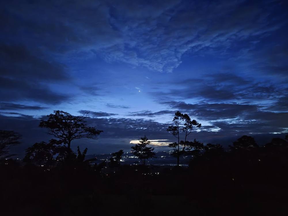 Night sky over the forest