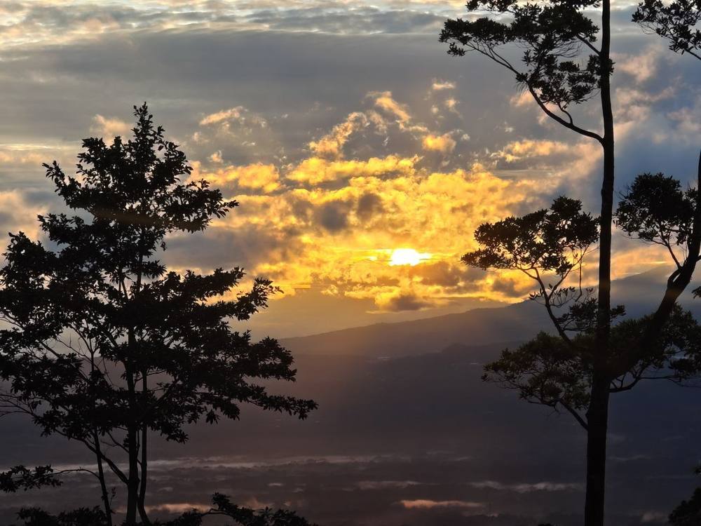 Sunset over the forest