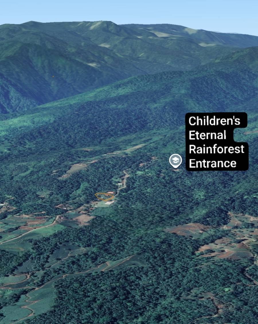 Aerial view showing the parcels beside the Children's Eternal Rainforest entrance