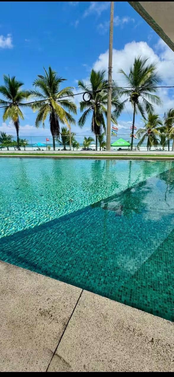 Large swimming pool surrounded by palms