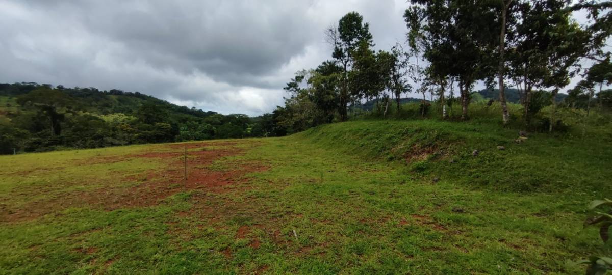 Bijagual de Turrubares · Lot 06