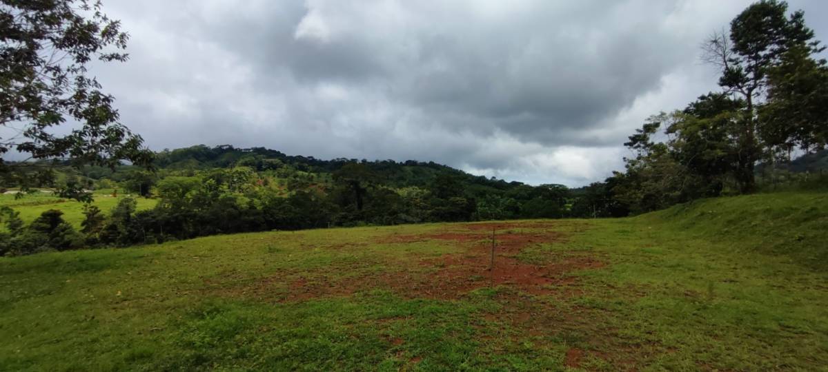 Bijagual de Turrubares · Lot 06