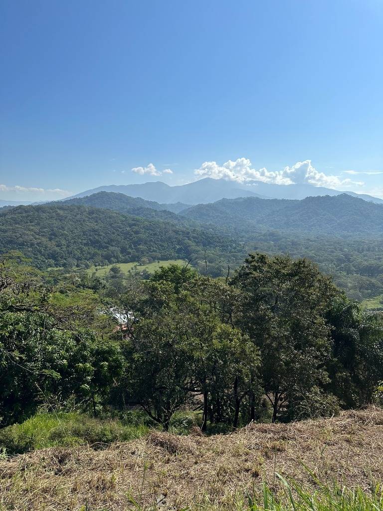 Capulín Tarcoles · Carara Views