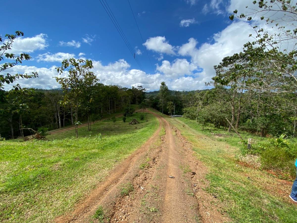 Proyecto El Búho · Bijagual Mtns