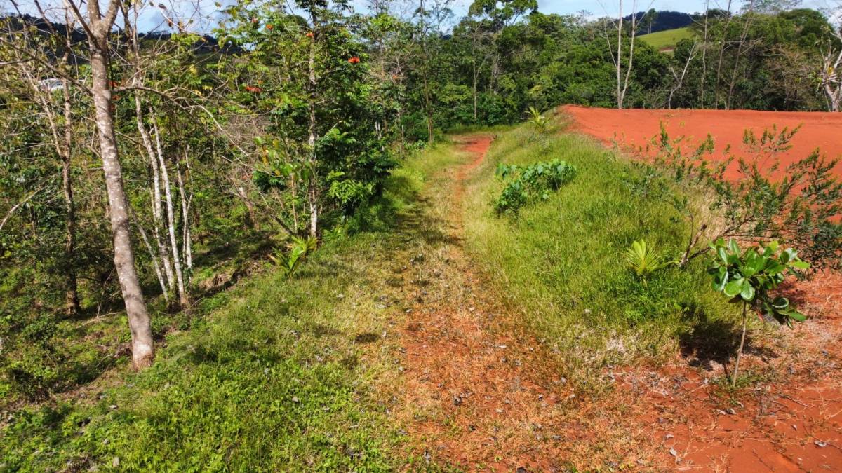 Proyecto El Búho · Bijagual Mtns
