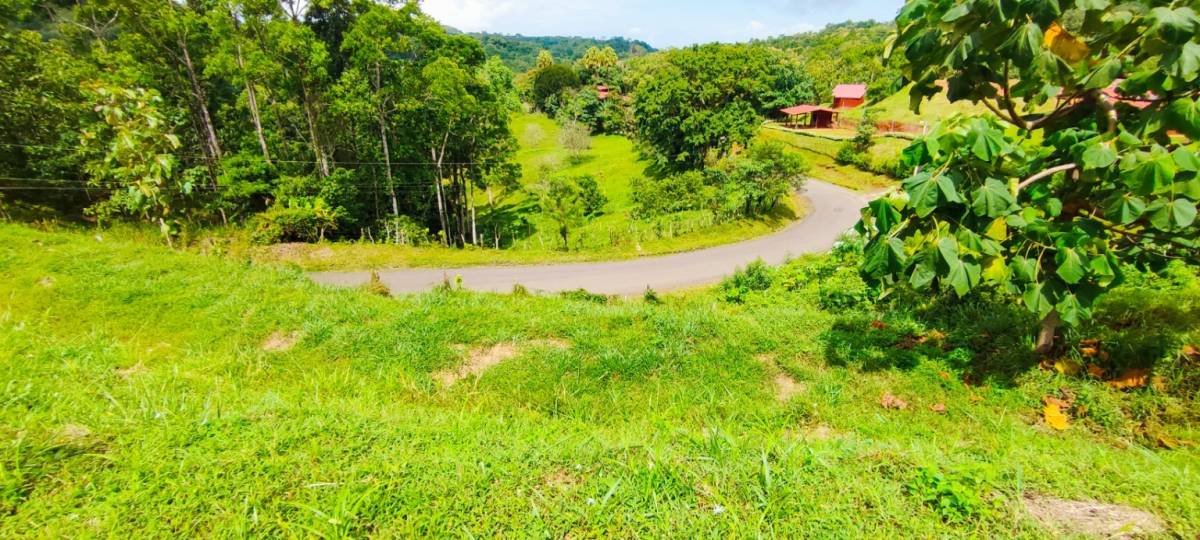 Corner Lot · Tarcolitos Hwy 320