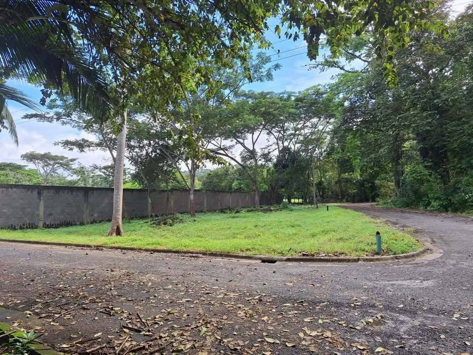 Santiago Condo · Playa Agujas