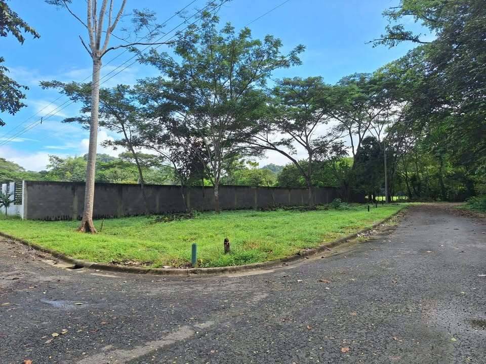 Santiago Condo · Playa Agujas