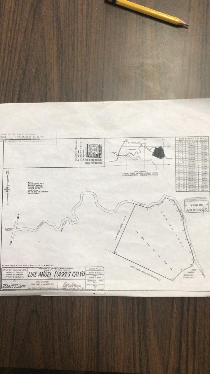 Bijagual 28 ha · Large-Scale Development