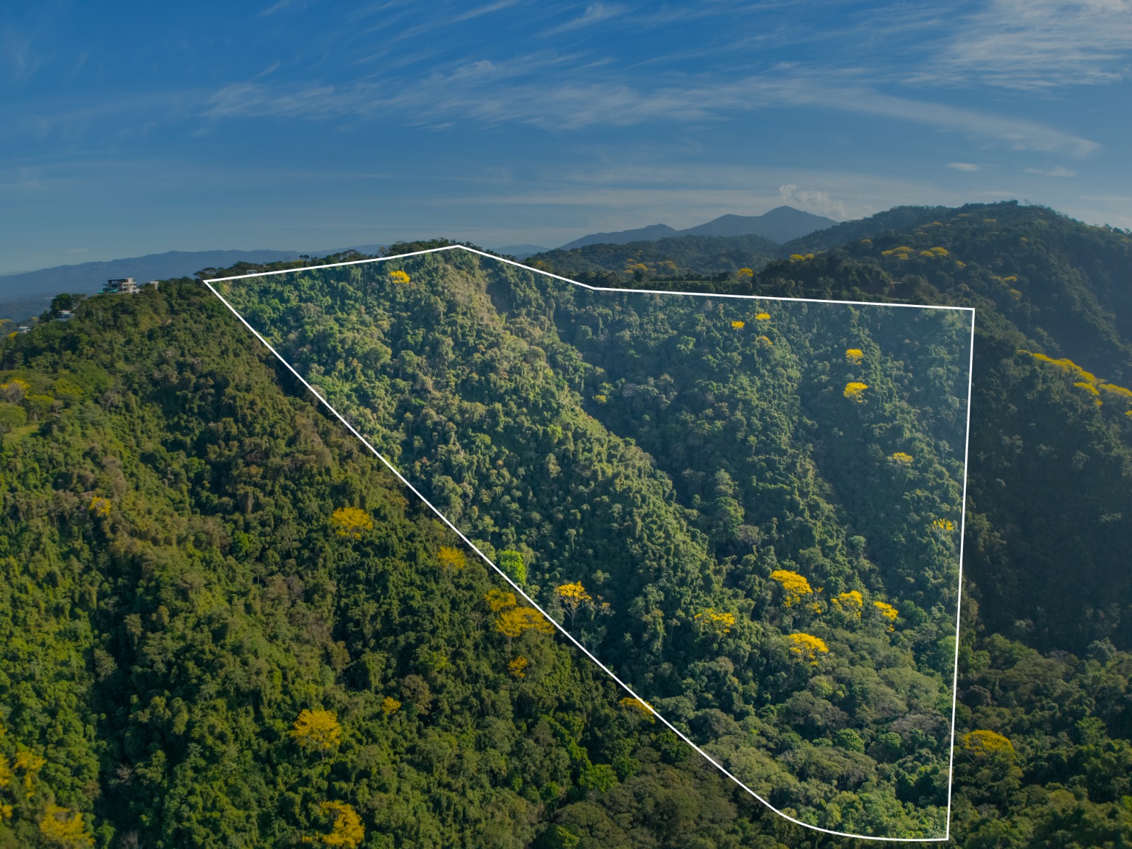 Bijagual 28 ha · Large-Scale Development
