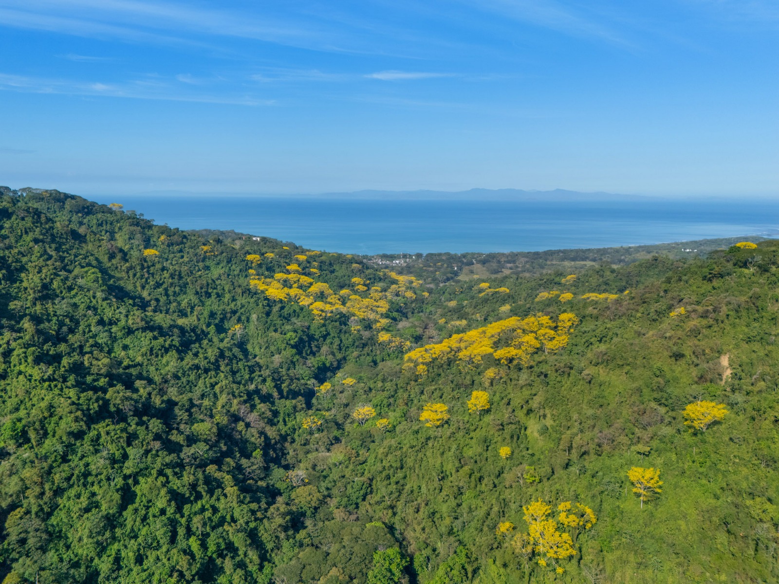 Bijagual 28 ha · Large-Scale Development