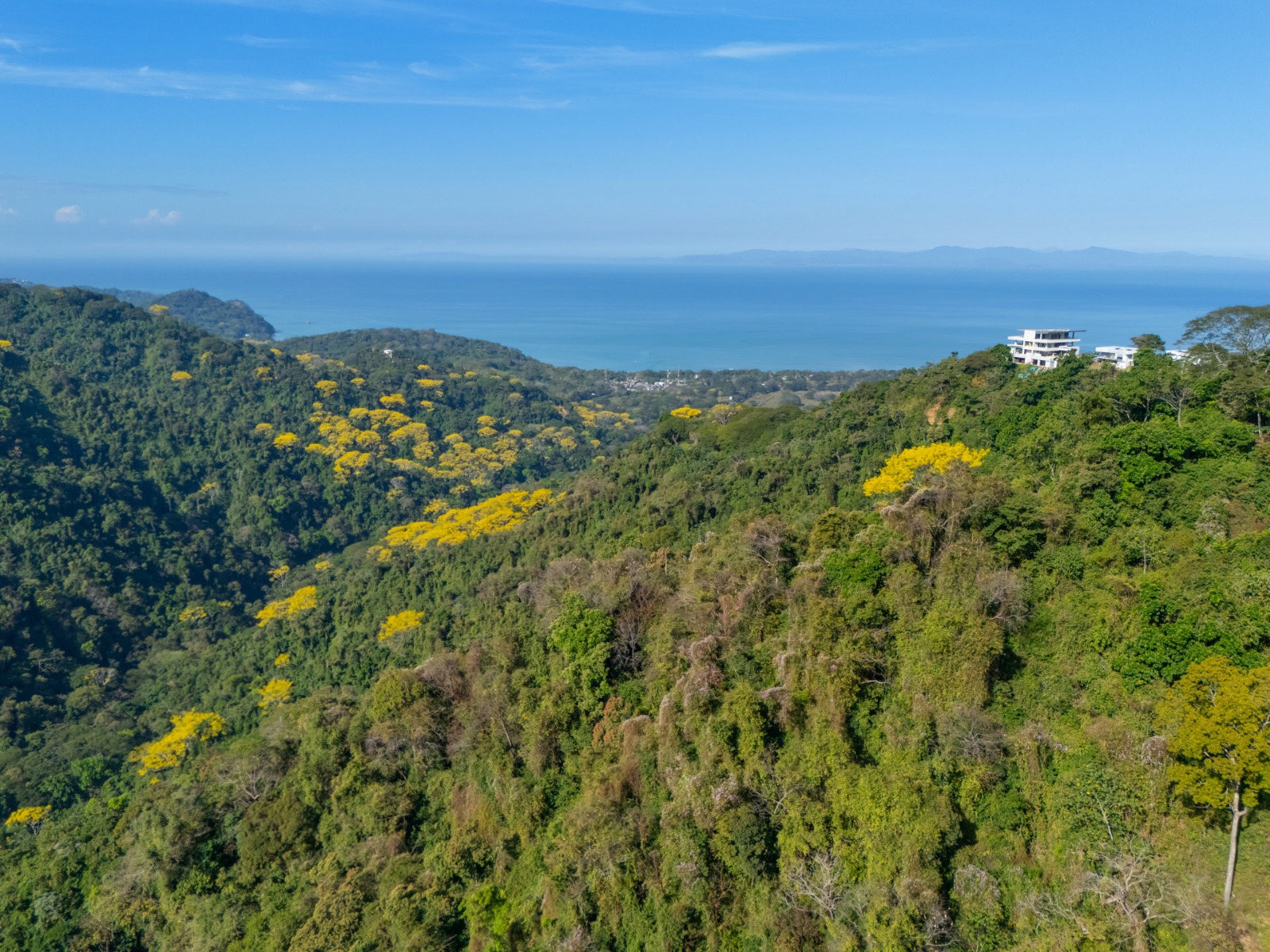 Bijagual 28 ha · Large-Scale Development