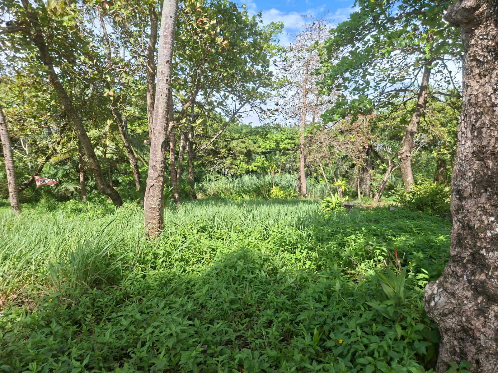 Palo Seco Beach Lot