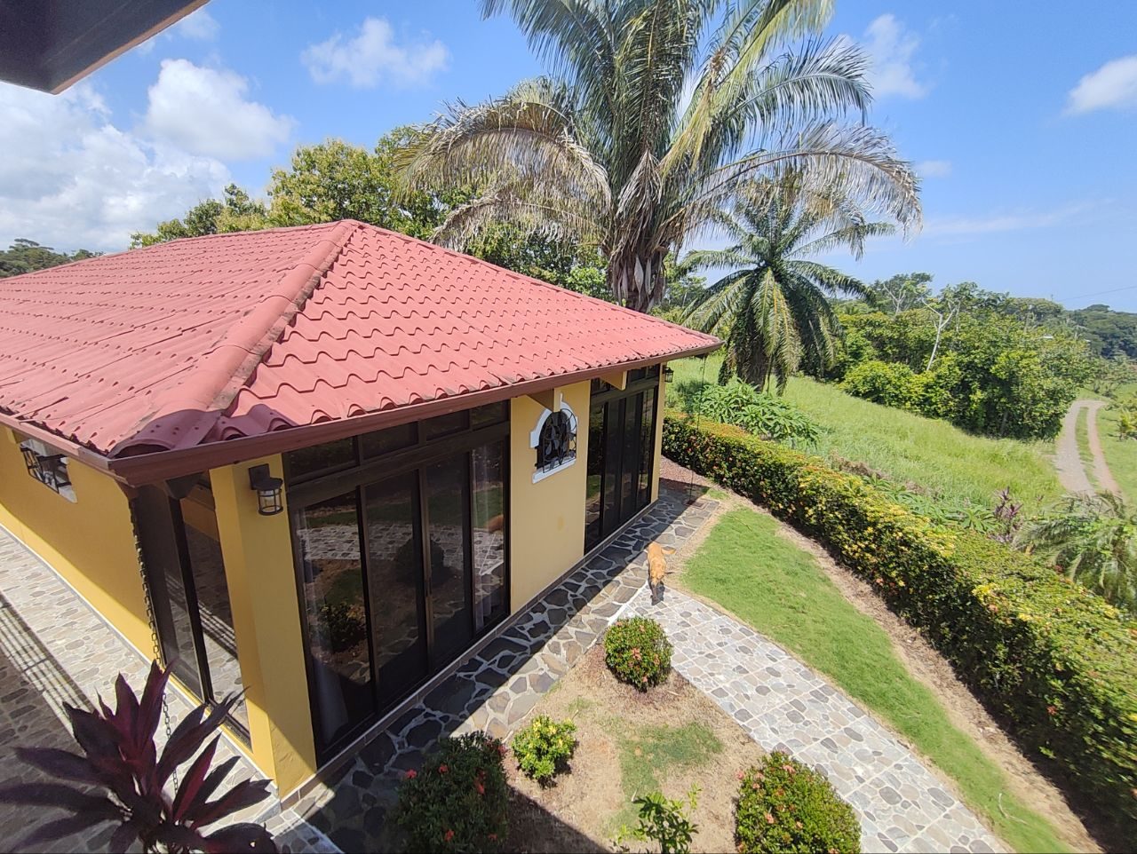 Main house and tropical garden
